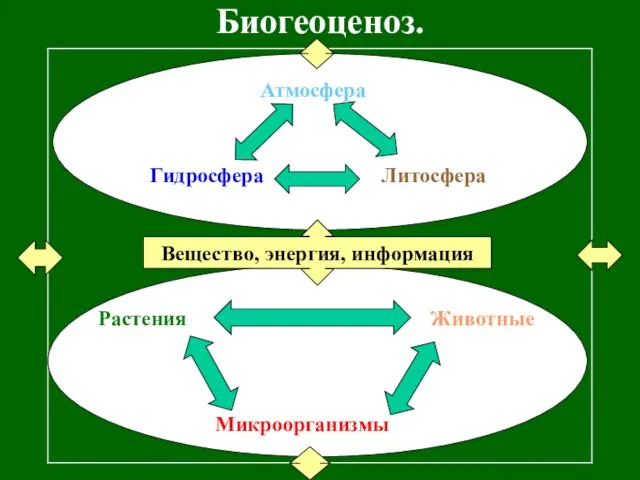 Биогеоценоз. Растения Животные Микроорганизмы Вещество, энергия, информация Атмосфера Литосфера Гидросфера