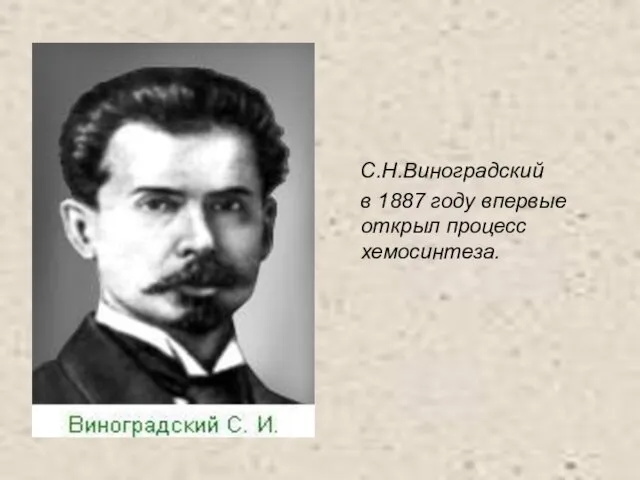 С.Н.Виноградский в 1887 году впервые открыл процесс хемосинтеза.