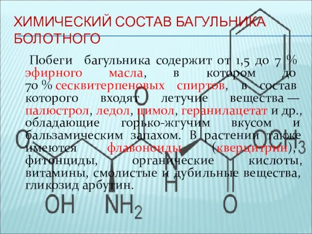 ХИМИЧЕСКИЙ СОСТАВ БАГУЛЬНИКА БОЛОТНОГО Побеги багульника содержит от 1,5 до 7 %