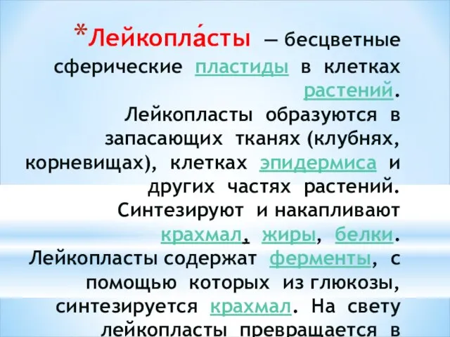 Лейкопла́сты — бесцветные сферические пластиды в клетках растений. Лейкопласты образуются в запасающих