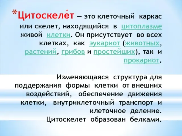 Цитоскеле́т — это клеточный каркас или скелет, находящийся в цитоплазме живой клетки.