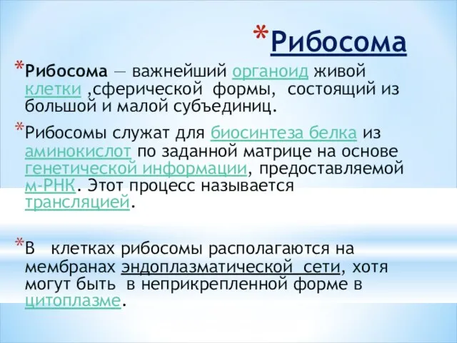 Рибосома Рибосома — важнейший органоид живой клетки ,сферической формы, состоящий из большой