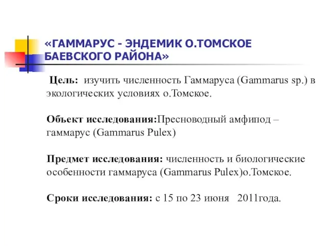 «ГАММАРУС - ЭНДЕМИК О.ТОМСКОЕ БАЕВСКОГО РАЙОНА» Цель: изучить численность Гаммаруса (Gammarus sp.)