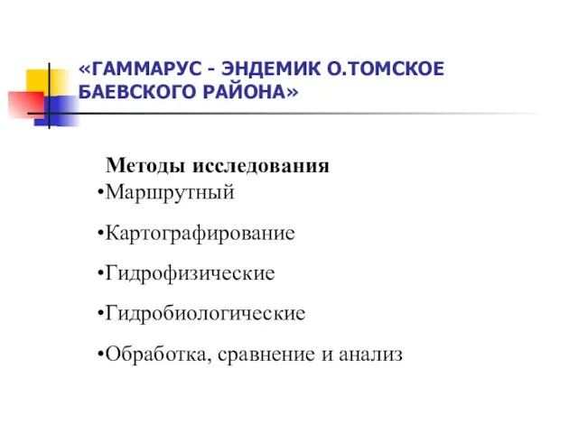 «ГАММАРУС - ЭНДЕМИК О.ТОМСКОЕ БАЕВСКОГО РАЙОНА» Методы исследования Маршрутный Картографирование Гидрофизические Гидробиологические Обработка, сравнение и анализ