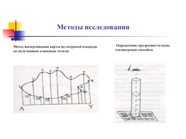 Методы исследования Метод вычерчивания карты исследуемой площади по полученным основным точкам Определение прозрачности воды глазомерным способом.