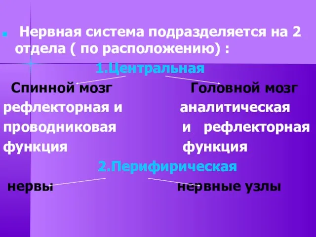 Нервная система подразделяется на 2 отдела ( по расположению) : 1.Центральная Спинной