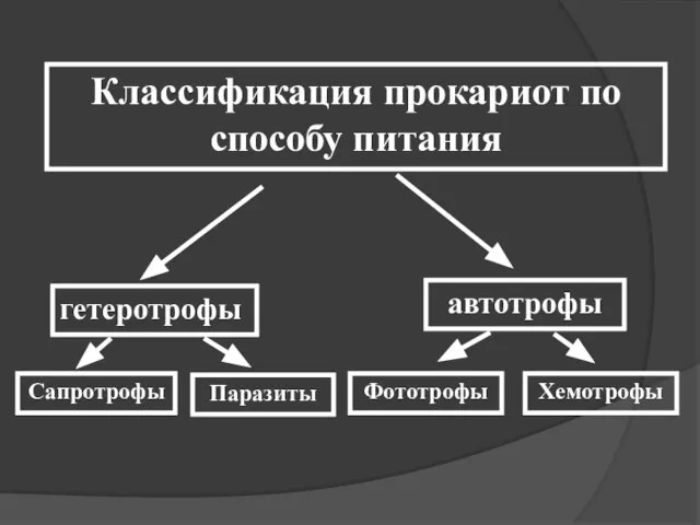 Классификация прокариот по способу питания