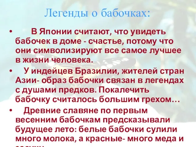 Легенды о бабочках: В Японии считают, что увидеть бабочек в доме -