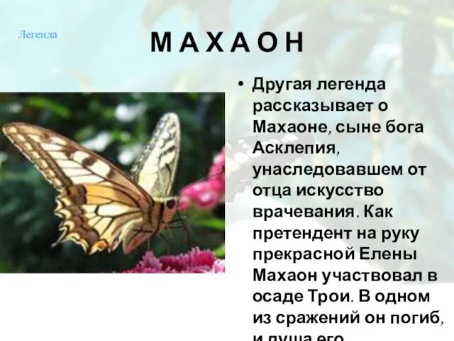 М А Х А О Н Другая легенда рассказывает о Махаоне, сыне