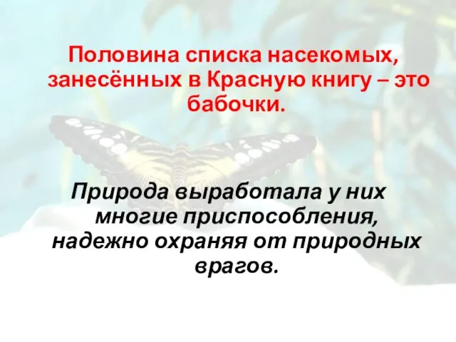 Половина списка насекомых, занесённых в Красную книгу – это бабочки. Природа выработала