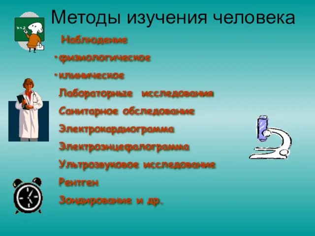 Методы изучения человека Наблюдение физиологическое клиническое Лабораторные исследования Санитарное обследование Электрокардиограмма Электроэнцефалограмма