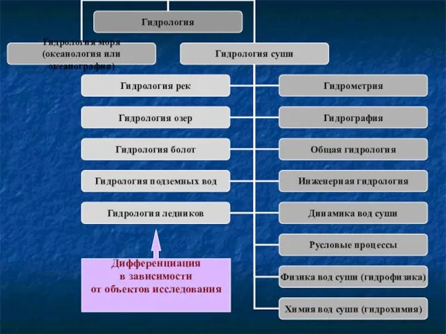 Дифференциация в зависимости от объектов исследования