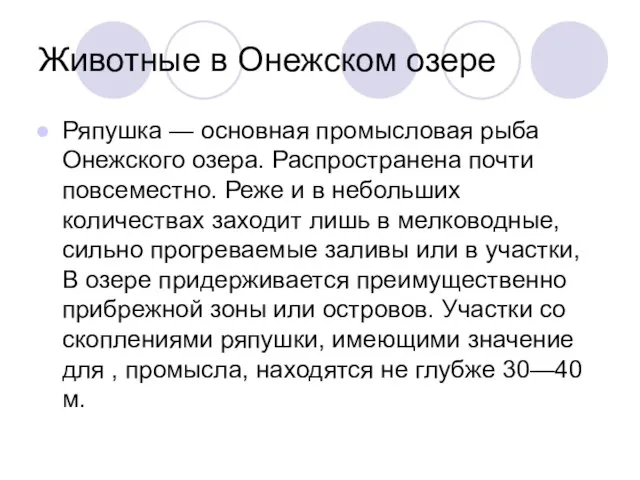 Животные в Онежском озере Ряпушка — основная промысловая рыба Онежского озера. Распространена