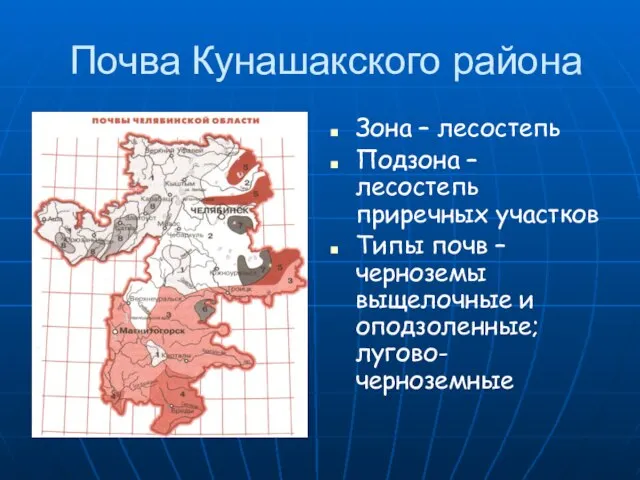 Почва Кунашакского района Зона – лесостепь Подзона – лесостепь приречных участков Типы