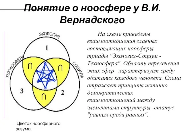 Понятие о ноосфере у В.И. Вернадского Цветок ноосферного разума. На схеме приведены