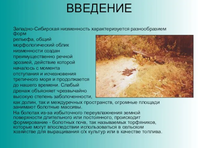 ВВЕДЕНИЕ Западно-Сибирская низменность характеризуется разнообразием форм рельефа, общий морфологический облик низменности создан
