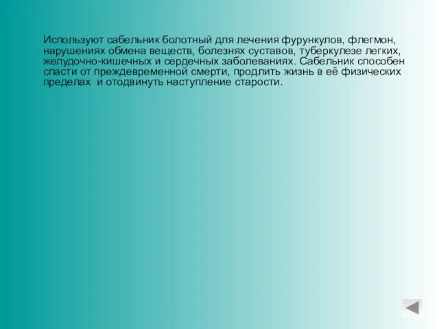 Используют сабельник болотный для лечения фурункулов, флегмон, нарушениях обмена веществ, болезнях суставов,