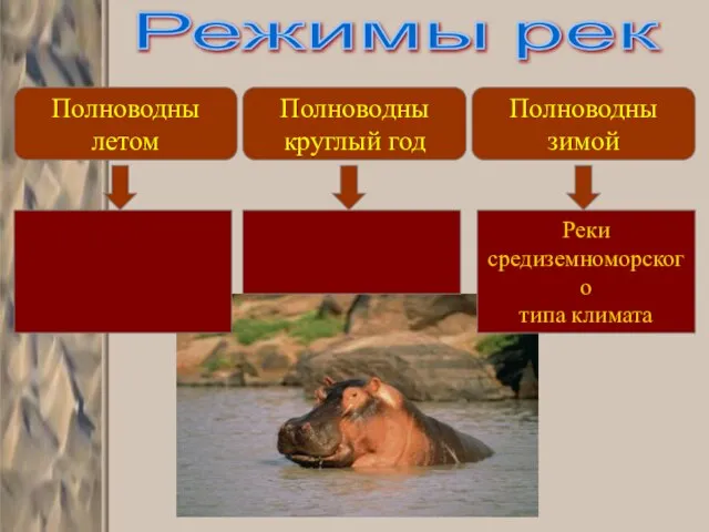 Режимы рек Полноводны летом Полноводны круглый год Полноводны зимой Реки средиземноморского типа климата