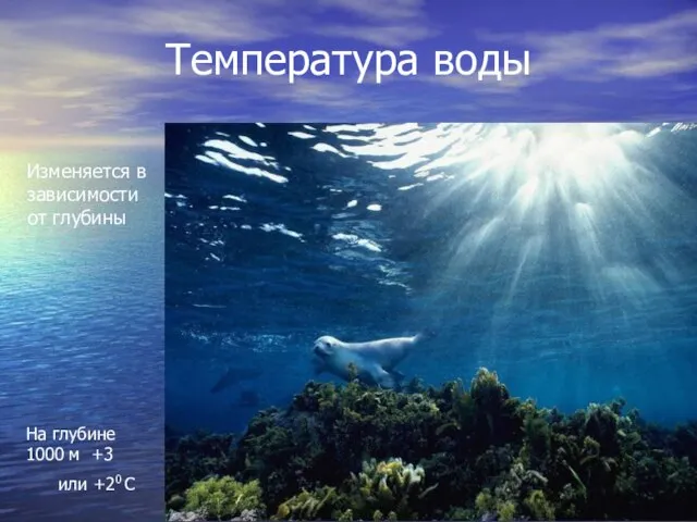 Температура воды Изменяется в зависимости от глубины На глубине 1000 м +3 или +20 С