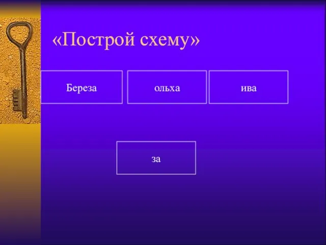 «Построй схему» Береза ольха ива за