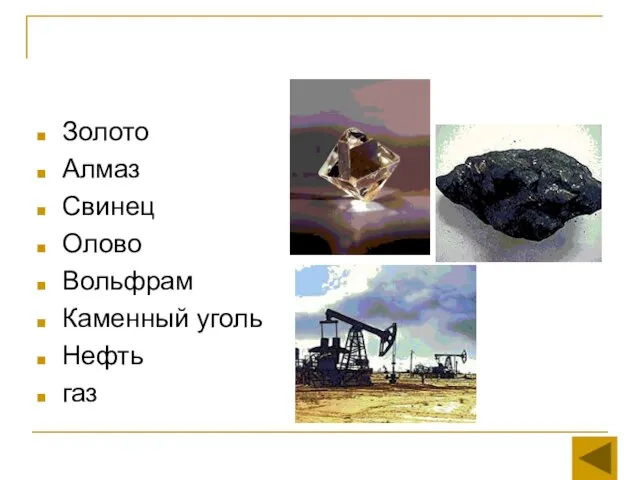 Золото Алмаз Свинец Олово Вольфрам Каменный уголь Нефть газ