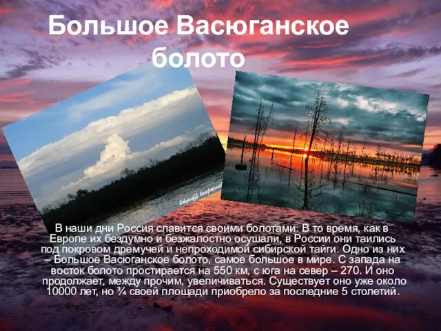 Большое Васюганское болото В наши дни Россия славится своими болотами. В то