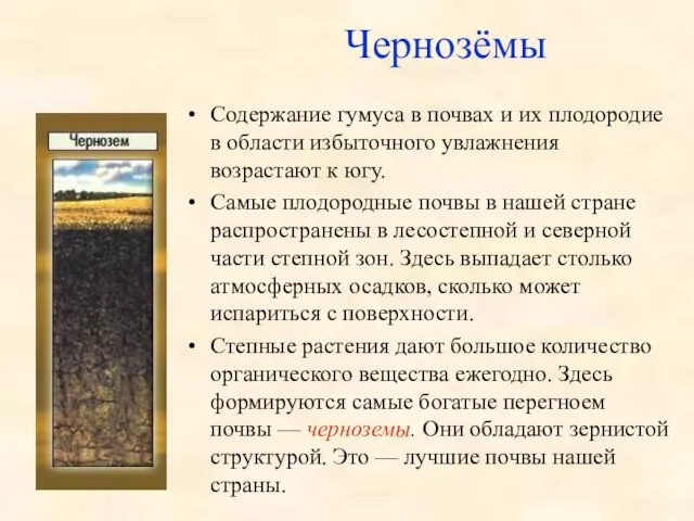 Чернозёмы Содержание гумуса в почвах и их плодородие в области избыточного увлажнения