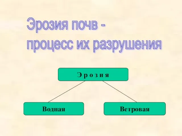 Эрозия почв - процесс их разрушения Э р о з и я Водная Ветровая