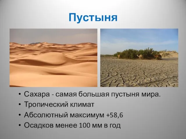Пустыня Сахара - самая большая пустыня мира. Тропический климат Абсолютный максимум +58,6