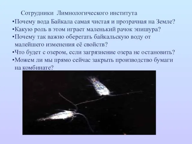 Сотрудники Лимнологического института Почему вода Байкала самая чистая и прозрачная на Земле?