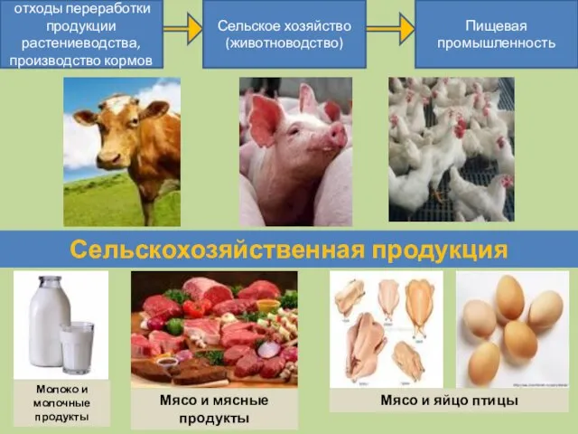 отходы переработки продукции растениеводства, производство кормов Сельское хозяйство (животноводство) Пищевая промышленность Сельскохозяйственная