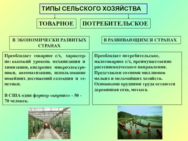 ТИПЫ СЕЛЬСКОГО ХОЗЯЙСТВА ТОВАРНОЕ ПОТРЕБИТЕЛЬСКОЕ В ЭКОНОМИЧЕСКИ РАЗВИТЫХ СТРАНАХ В РАЗВИВАЮЩИХСЯ СТРАНАХ