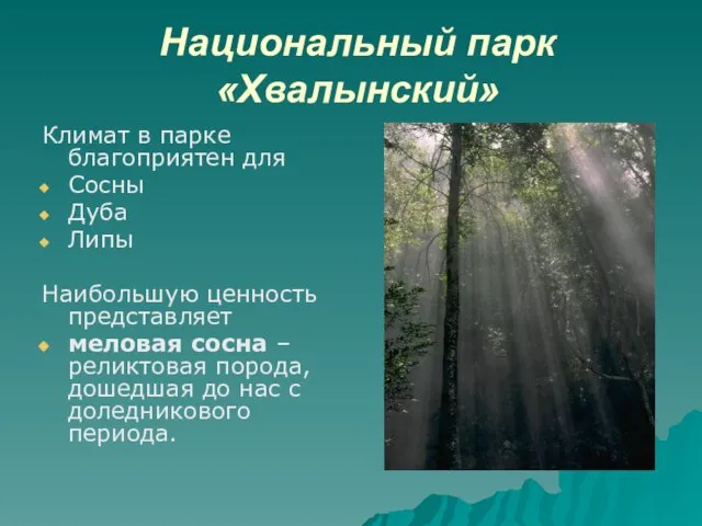 Национальный парк «Хвалынский» Климат в парке благоприятен для Сосны Дуба Липы Наибольшую