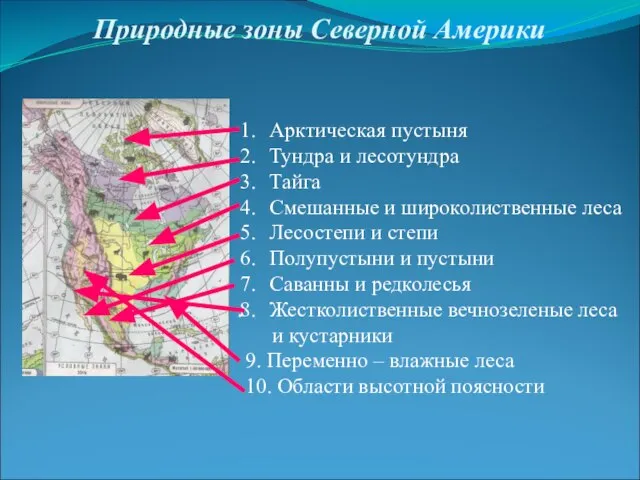 Природные зоны Северной Америки Арктическая пустыня Тундра и лесотундра Тайга Смешанные и