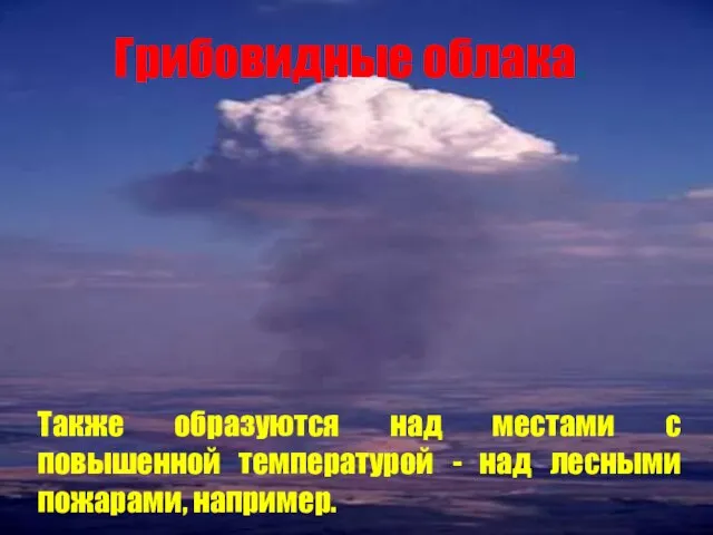 Грибовидные облака. Также образуются над местами с повышенной температурой - над лесными пожарами, например.