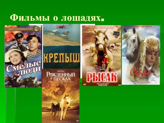 Фильмы о лошадях.
