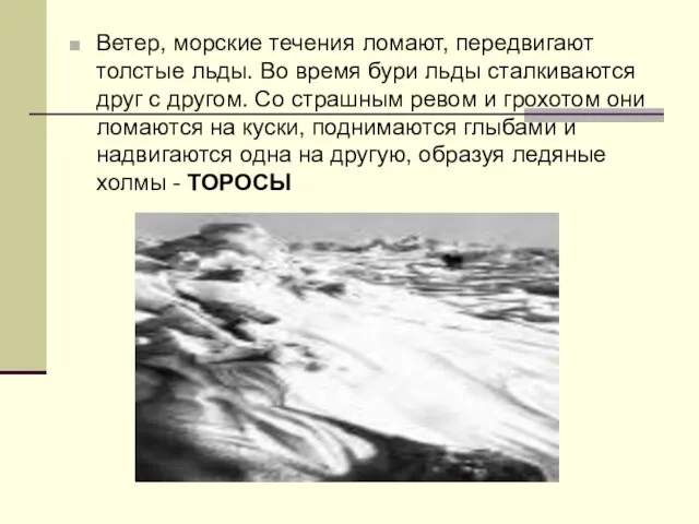 Ветер, морские течения ломают, передвигают толстые льды. Во время бури льды сталкиваются