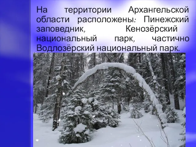 На территории Архангельской области расположены: Пинежский заповедник, Кенозёрский национальный парк, частично Водлозёрский национальный парк.