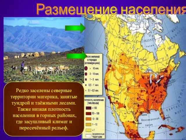 Размещение населения Редко заселены северные территории материка, занятые тундрой и таёжными лесами.