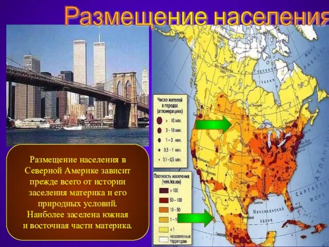 Размещение населения Размещение населения в Северной Америке зависит прежде всего от истории