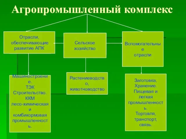 Агропромышленный комплекс Вспомогательные отрасли Отрасли, обеспечивающие развитие АПК Машиностроение. ТЭК Строительство. ККМ