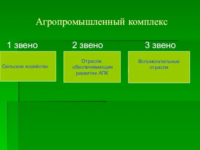 Агропромышленный комплекс 1 звено 2 звено 3 звено Сельское Промышлен- Вспомогатель- хозяйство