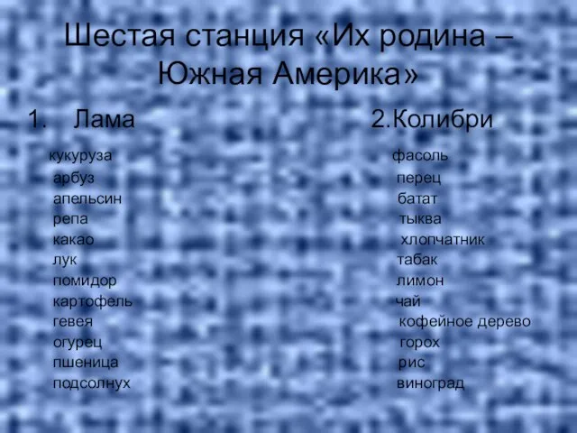 Шестая станция «Их родина – Южная Америка» Лама 2.Колибри кукуруза фасоль арбуз