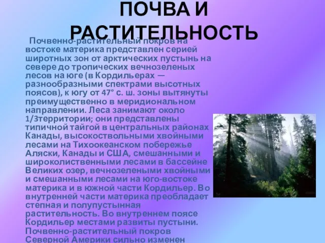 ПОЧВА И РАСТИТЕЛЬНОСТЬ Почвенно-растительный покров на востоке материка представлен серией широтных зон