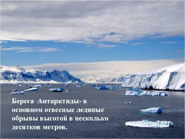 Берега Антарктиды- в основном отвесные ледяные обрывы высотой в несколько десятков метров.
