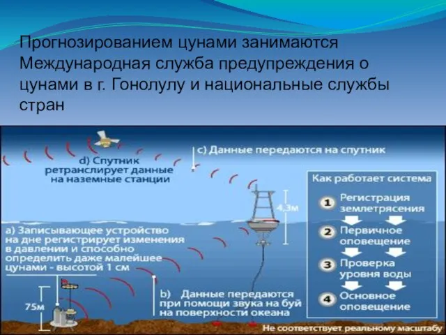 Прогнозированием цунами занимаются Международная служба предупреждения о цунами в г. Гонолулу и национальные службы стран