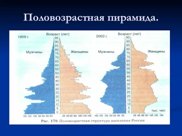 Половозрастная пирамида.