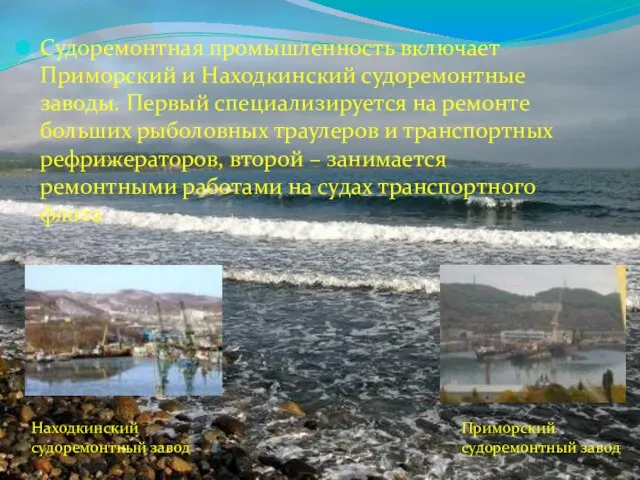 Судоремонтная промышленность включает Приморский и Находкинский судоремонтные заводы. Первый специализируется на ремонте