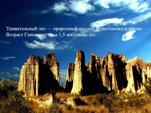 Удивительный лес — природный шедевр из песчаника и глины. Возраст Глиняного леса 1,5 миллиона лет. .