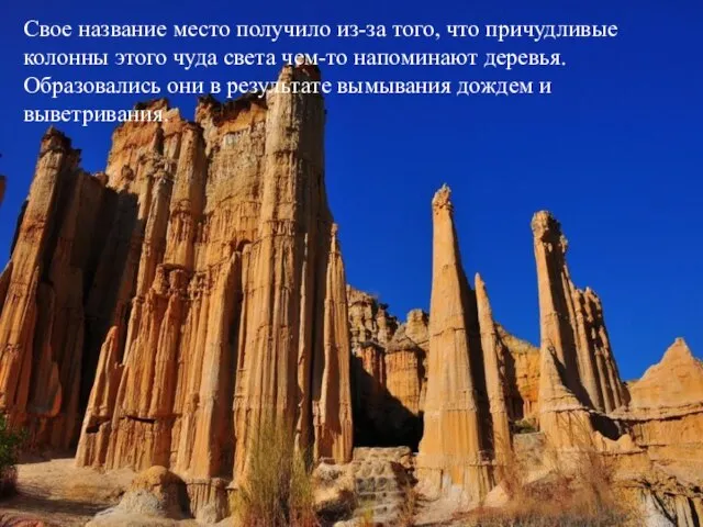 Свое название место получило из-за того, что причудливые колонны этого чуда света